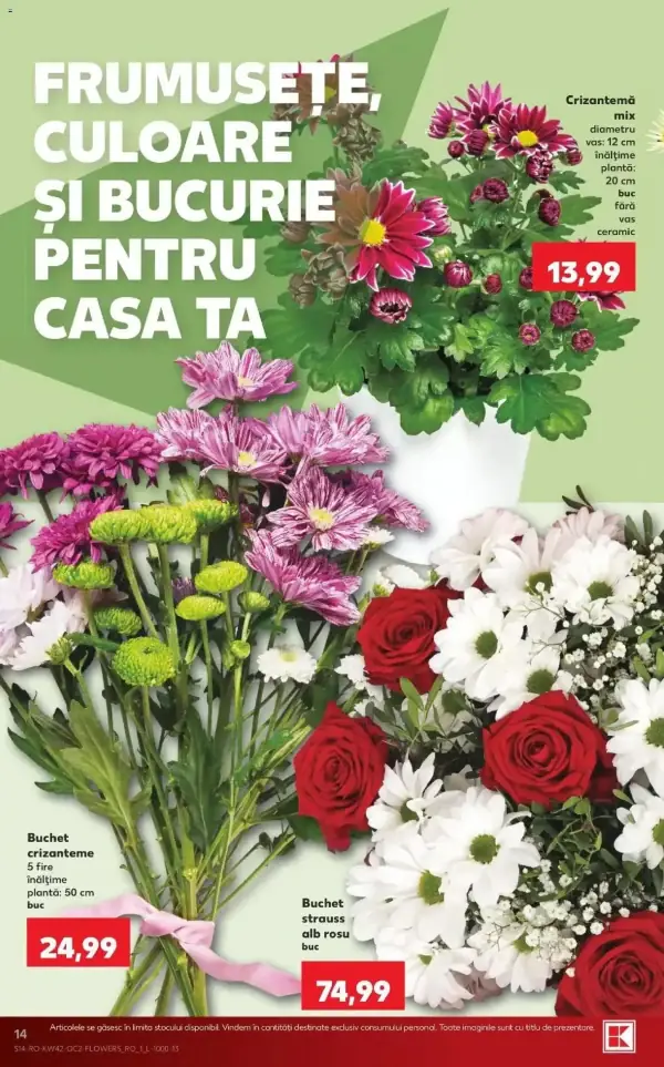 Pagina 14
