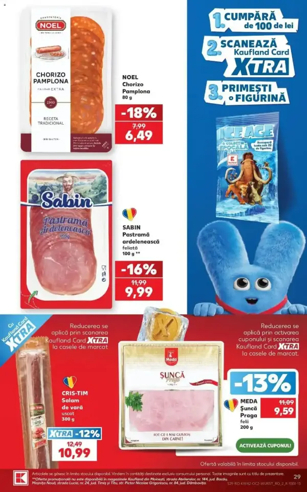Pagina 29