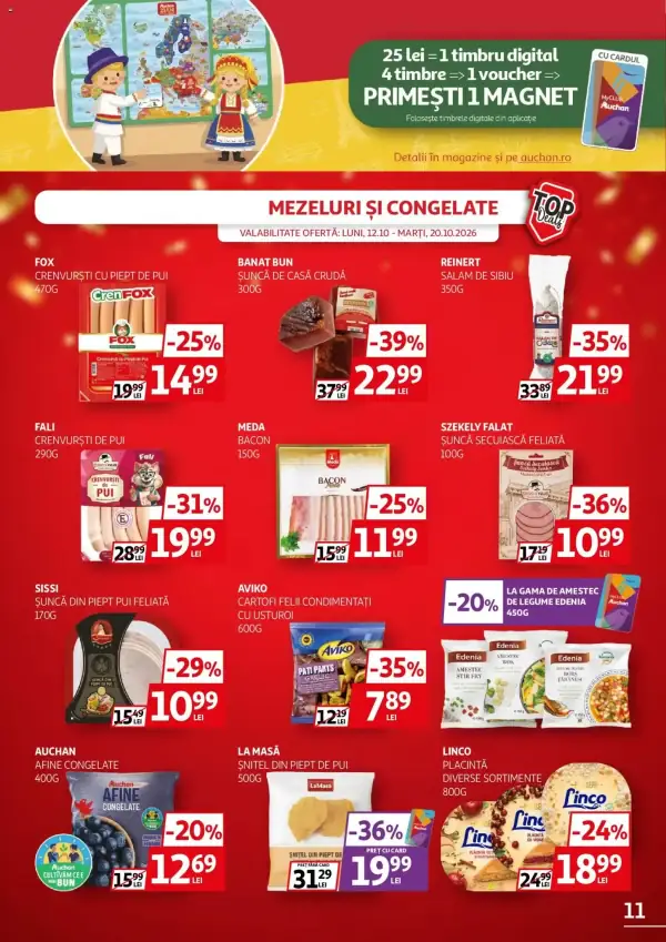 Pagina 11