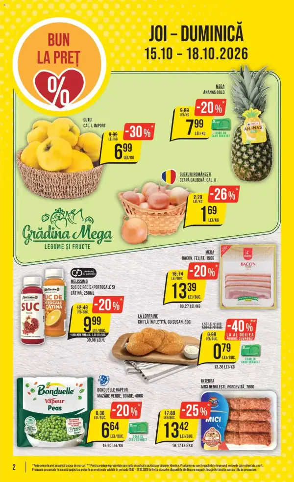 Pagina 2