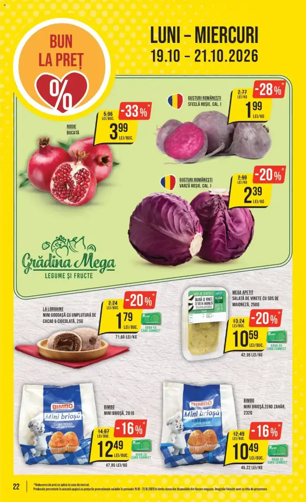Pagina 22