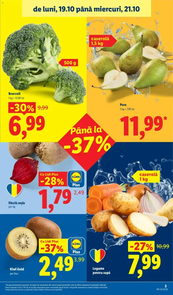 Pagina 3