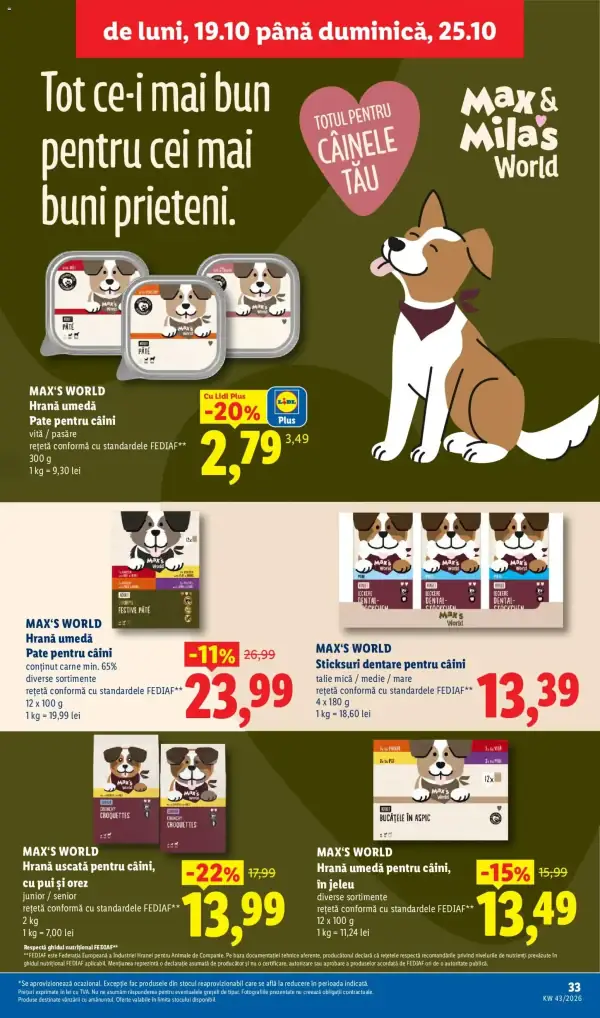 Pagina 33