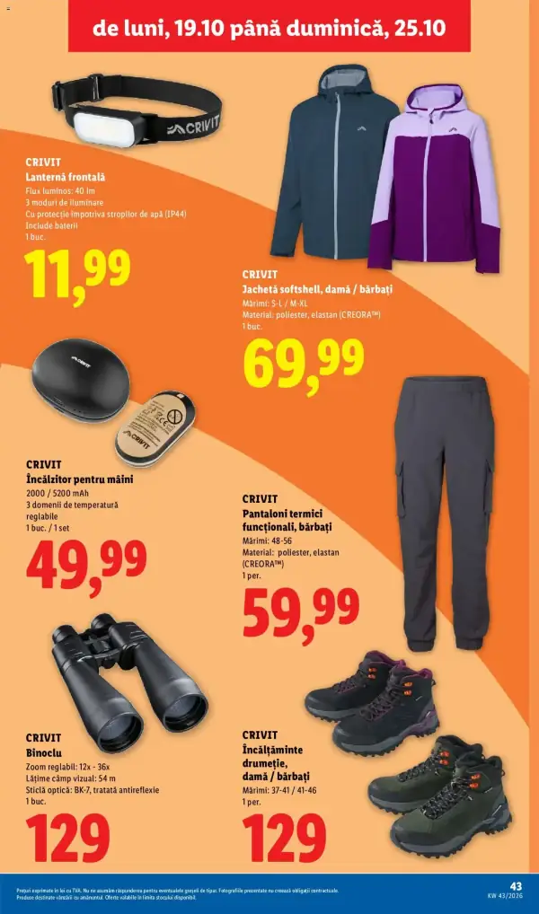 Pagina 43