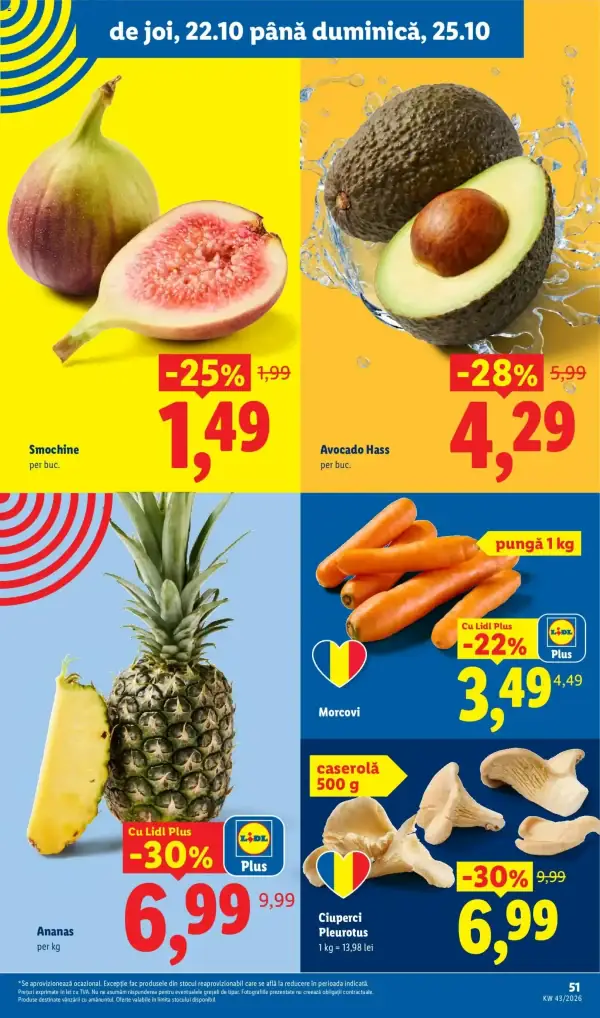 Pagina 51