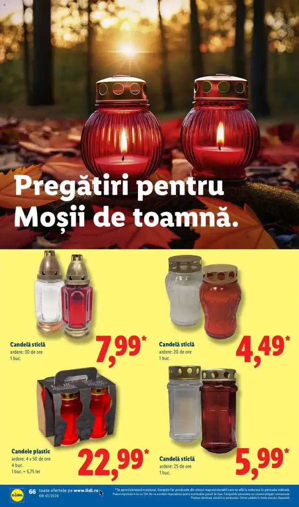 Pagina 66