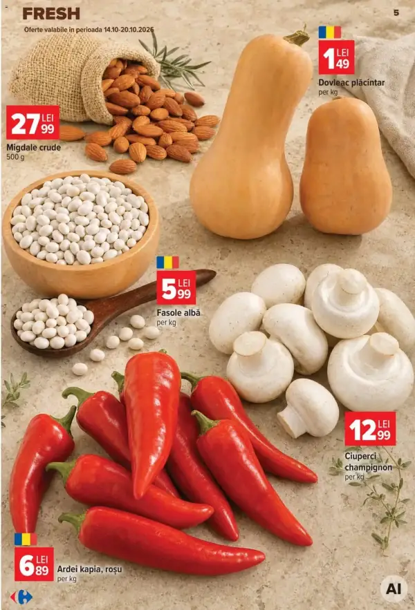 Pagina 5