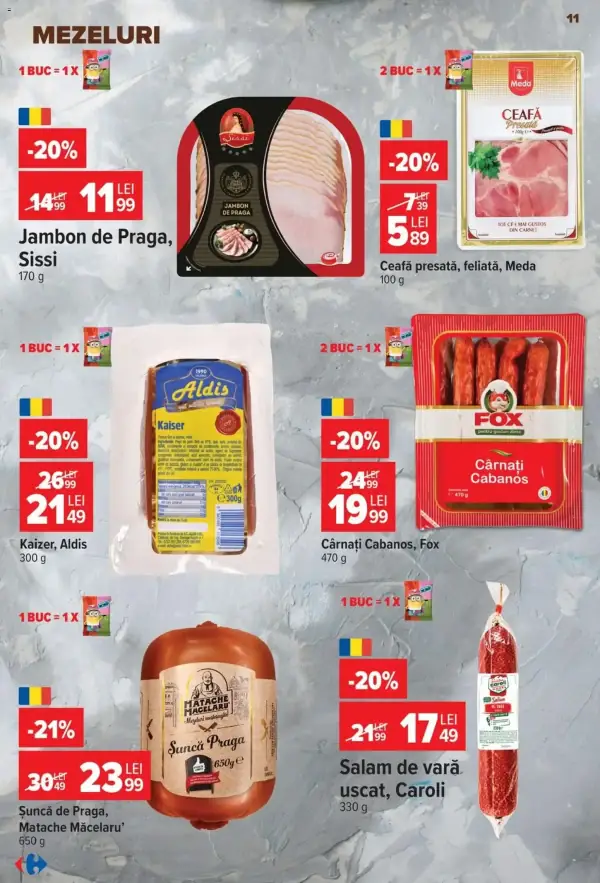 Pagina 11