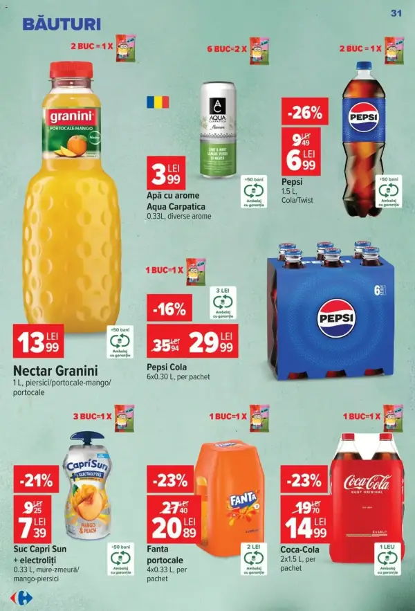 Pagina 31