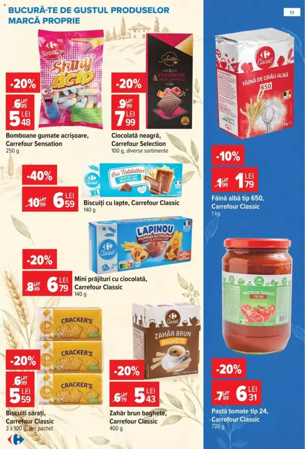 Pagina 13