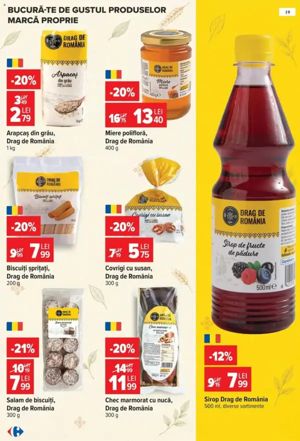 Pagina 19