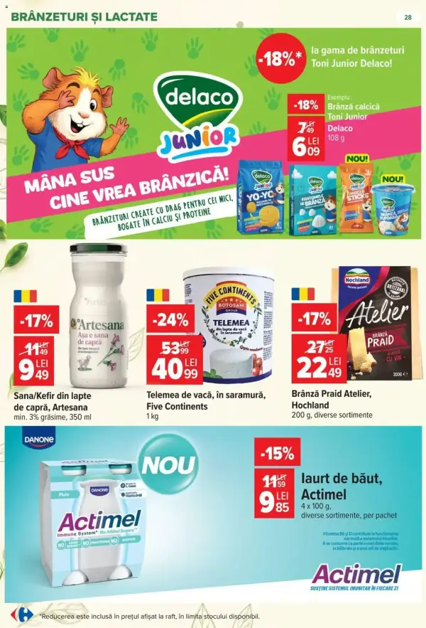 Pagina 28
