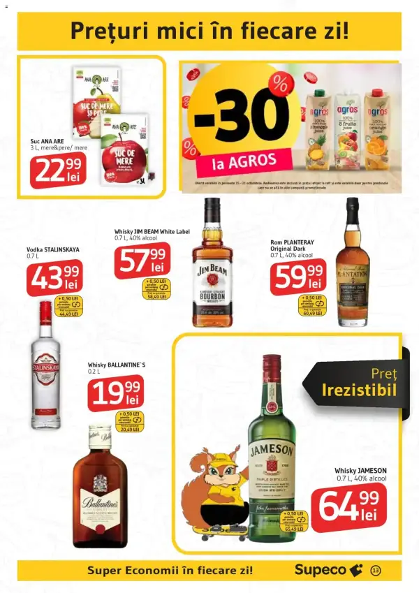 Pagina 13
