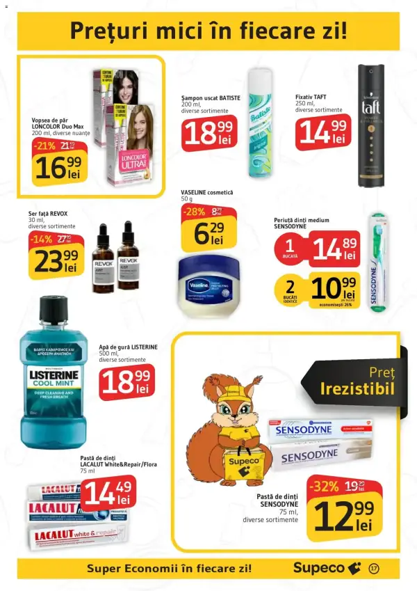 Pagina 17
