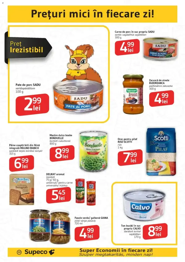Pagina 10