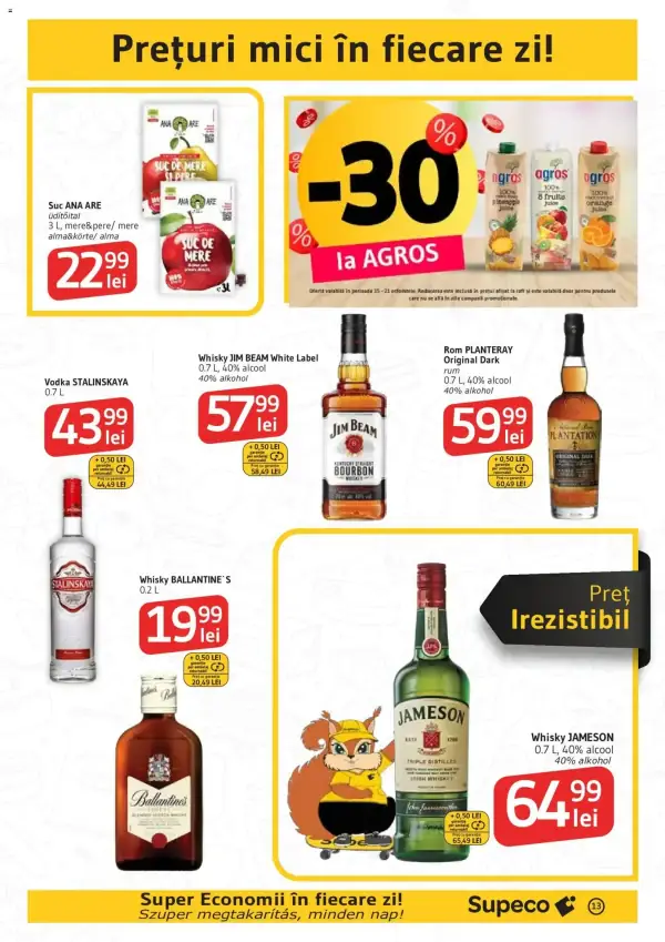 Pagina 13