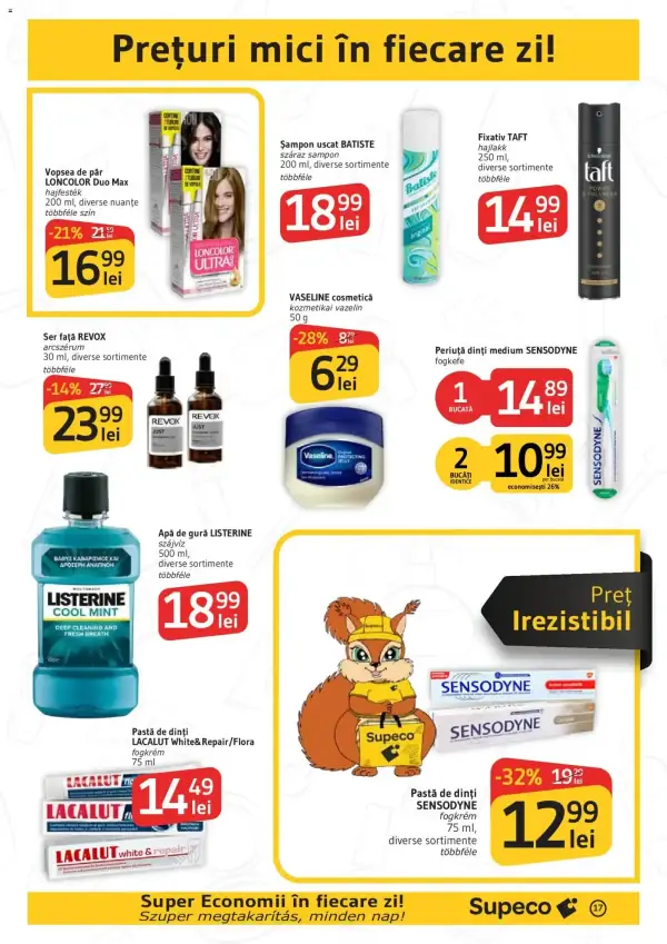 Pagina 17