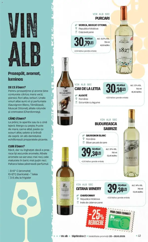 Pagina 12