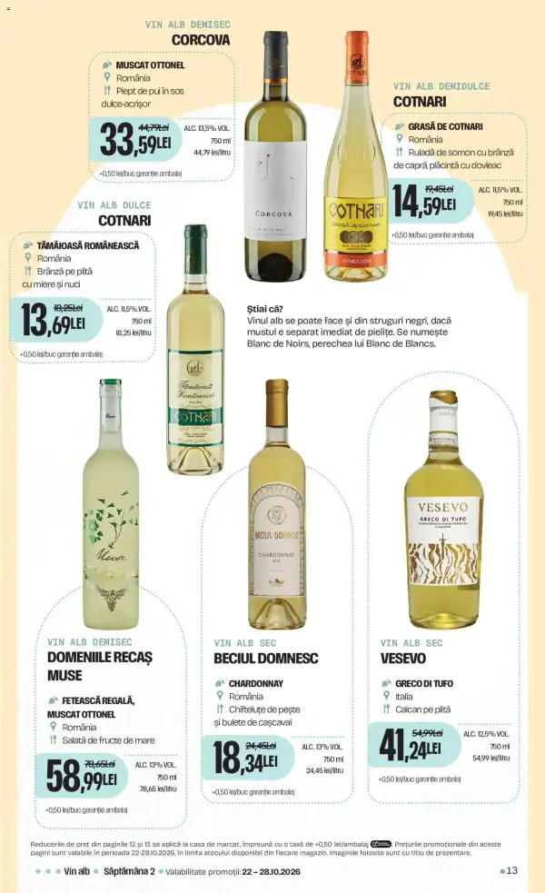 Pagina 13