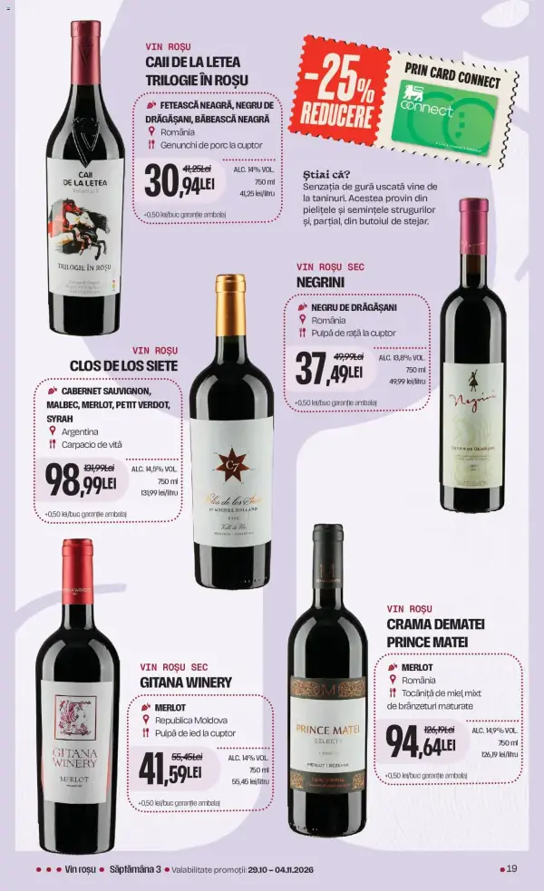 Pagina 19