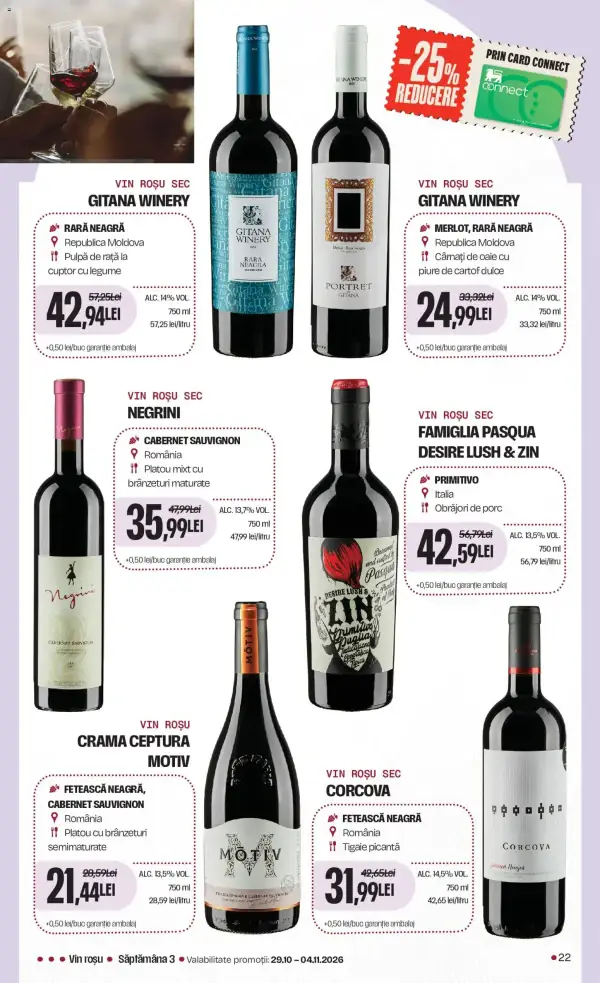 Pagina 22