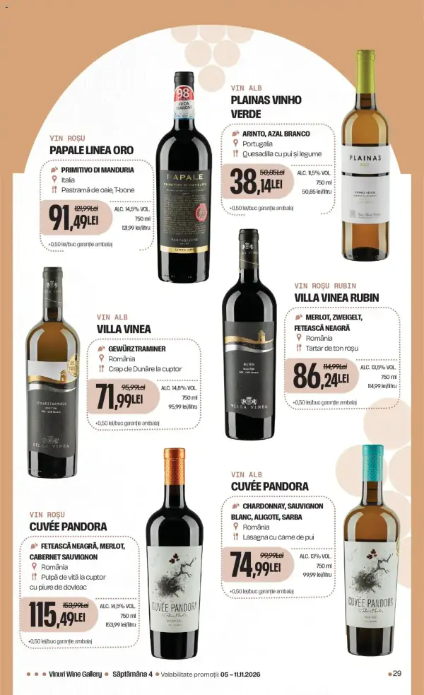 Pagina 29