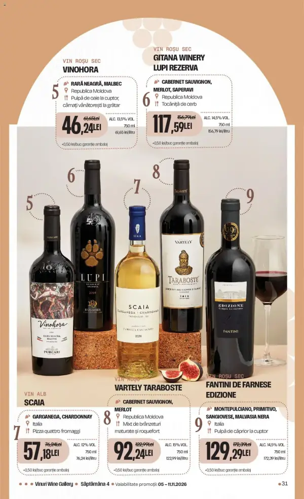 Pagina 31