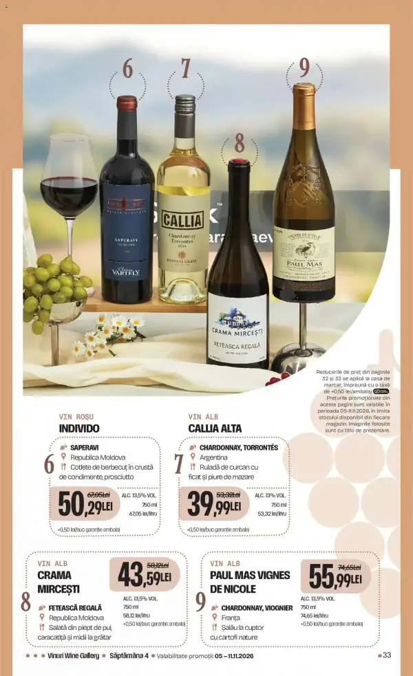 Pagina 33
