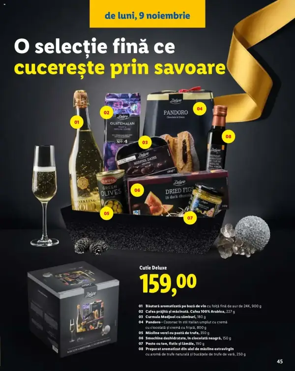Pagina 45