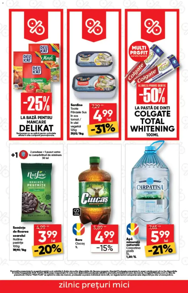 Pagina 3