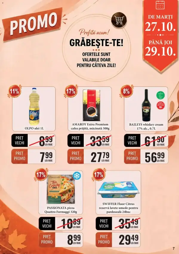 Pagina 7