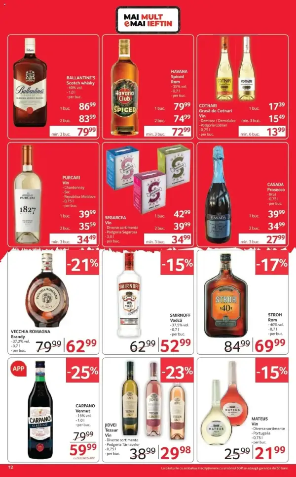 Pagina 12