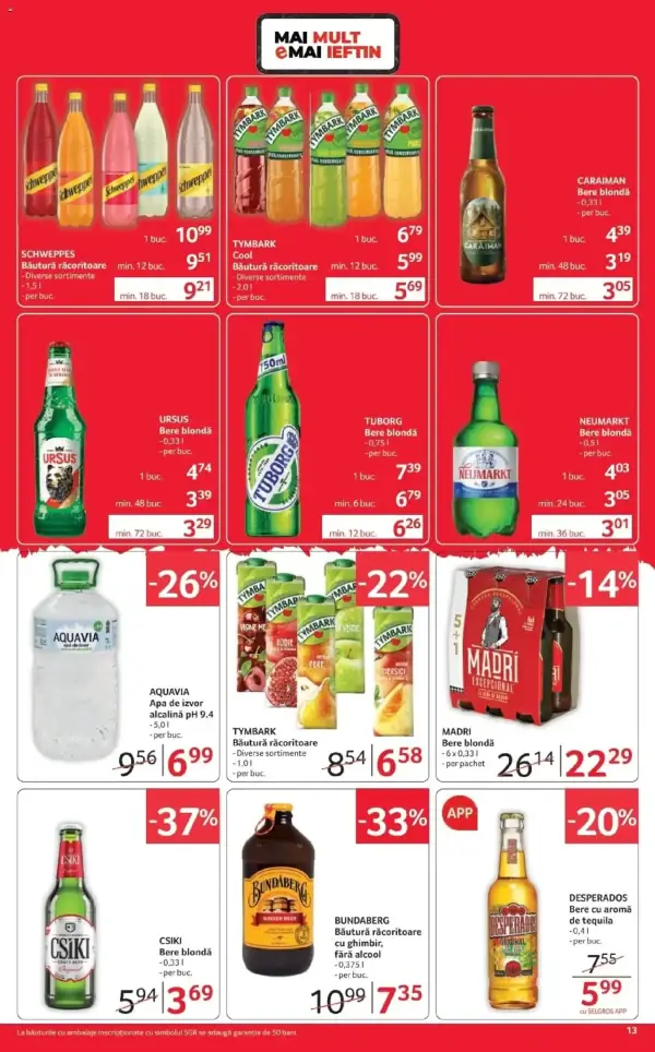 Pagina 13