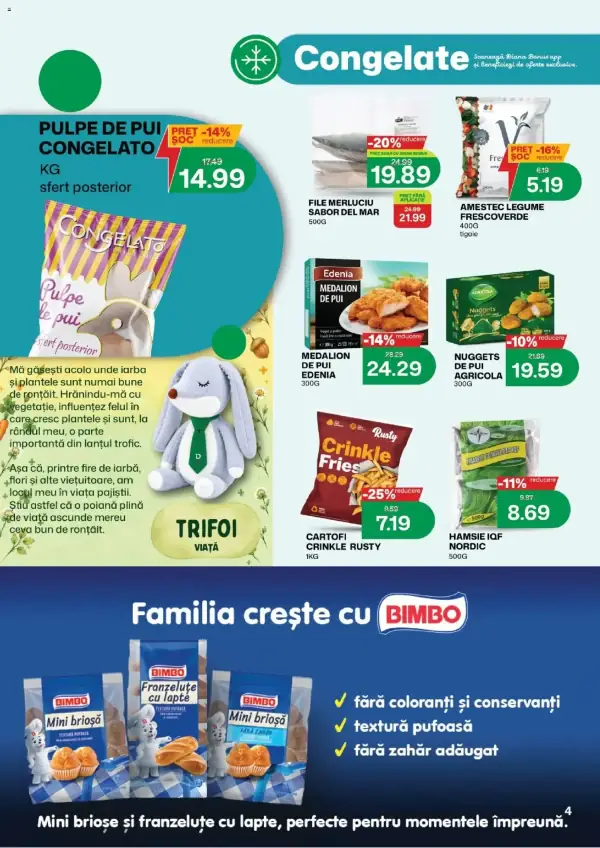 Pagina 5