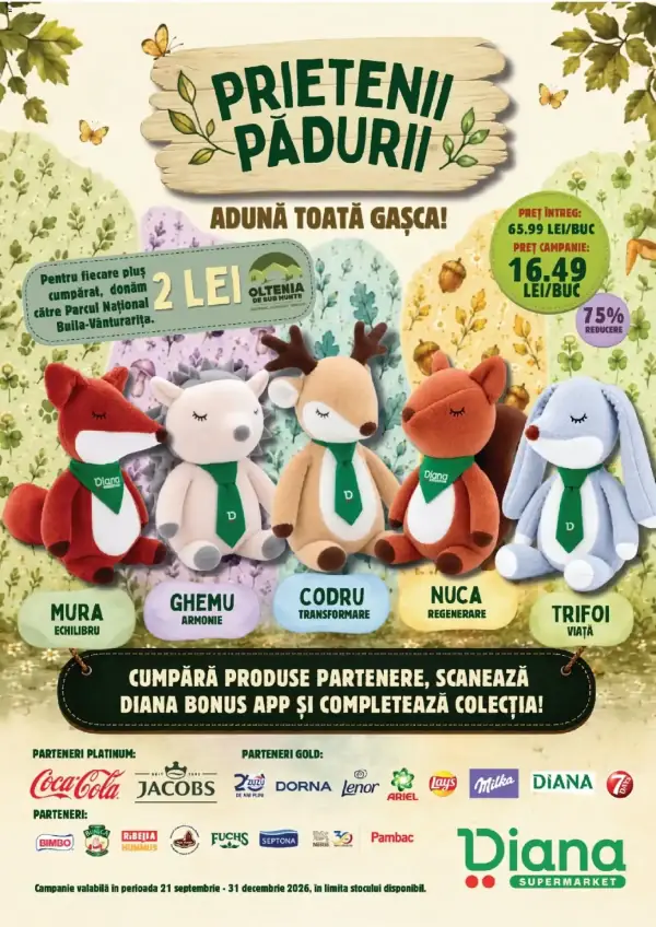 Pagina 6