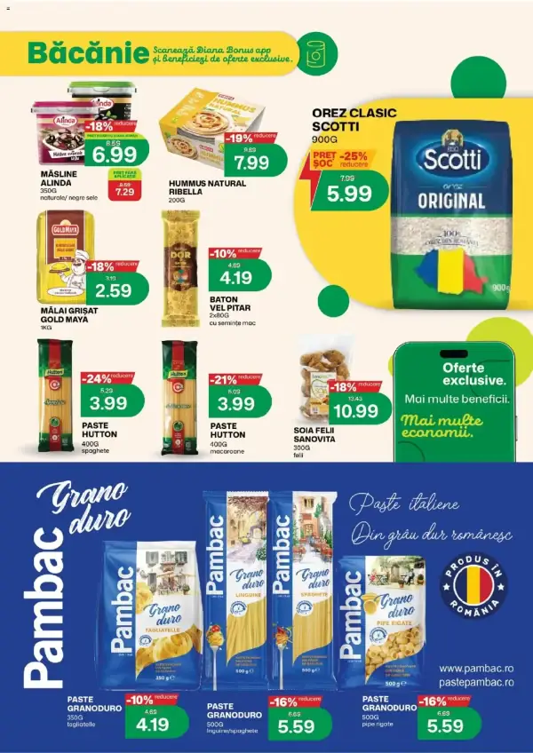 Pagina 8
