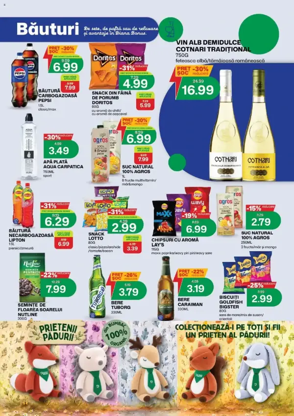 Pagina 13