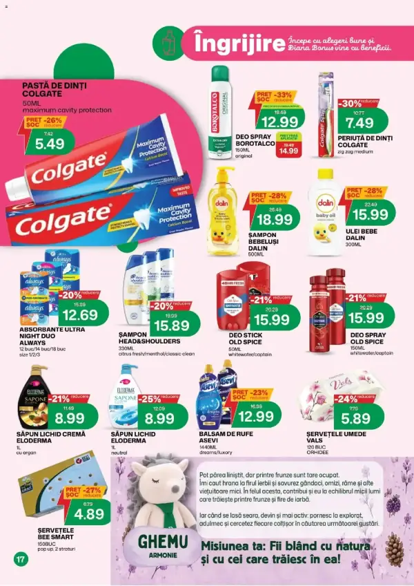 Pagina 17