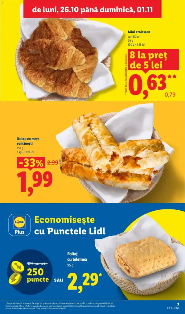 Pagina 7