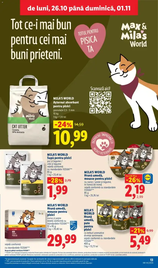 Pagina 13