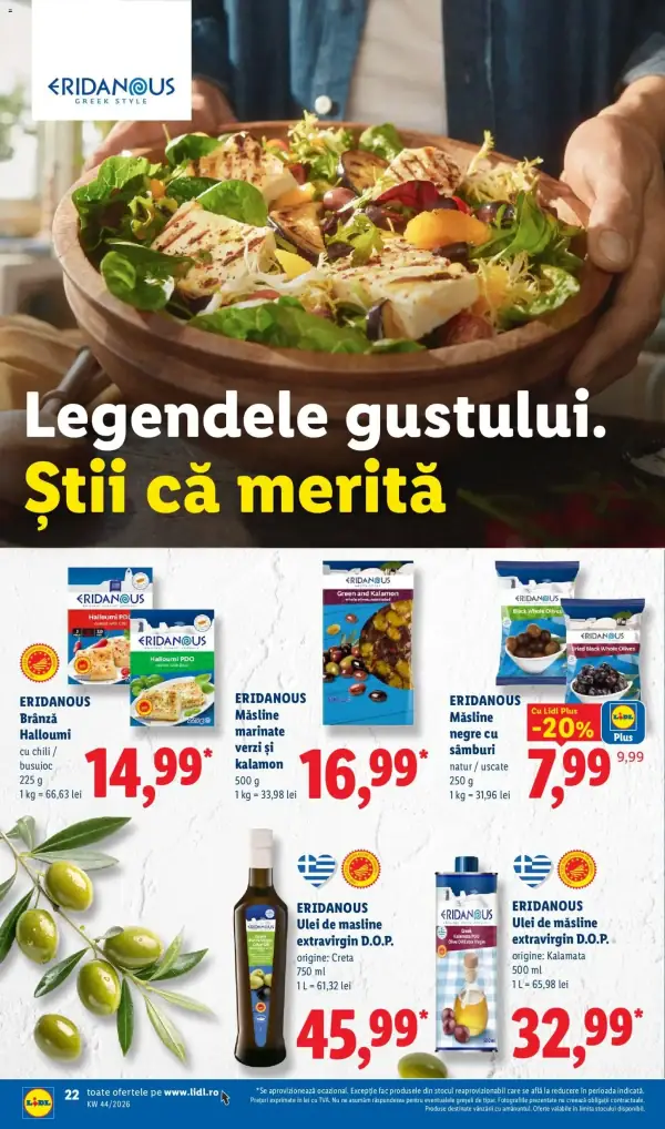 Pagina 22