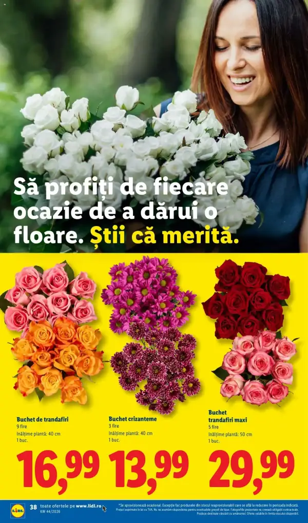 Pagina 38