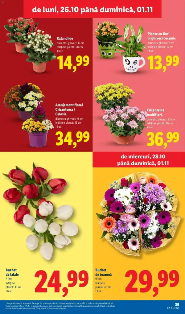 Pagina 39