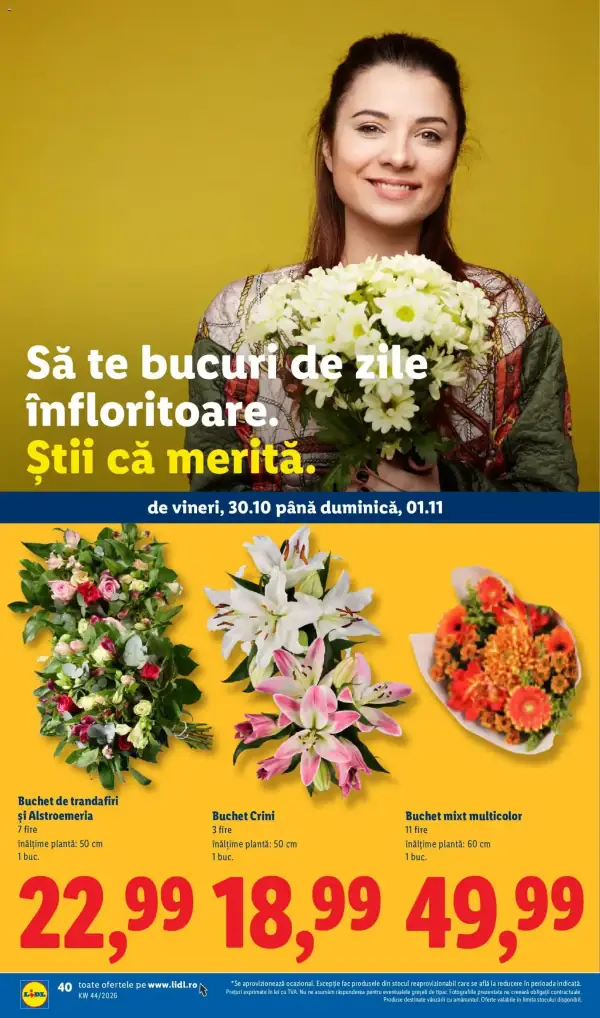 Pagina 40