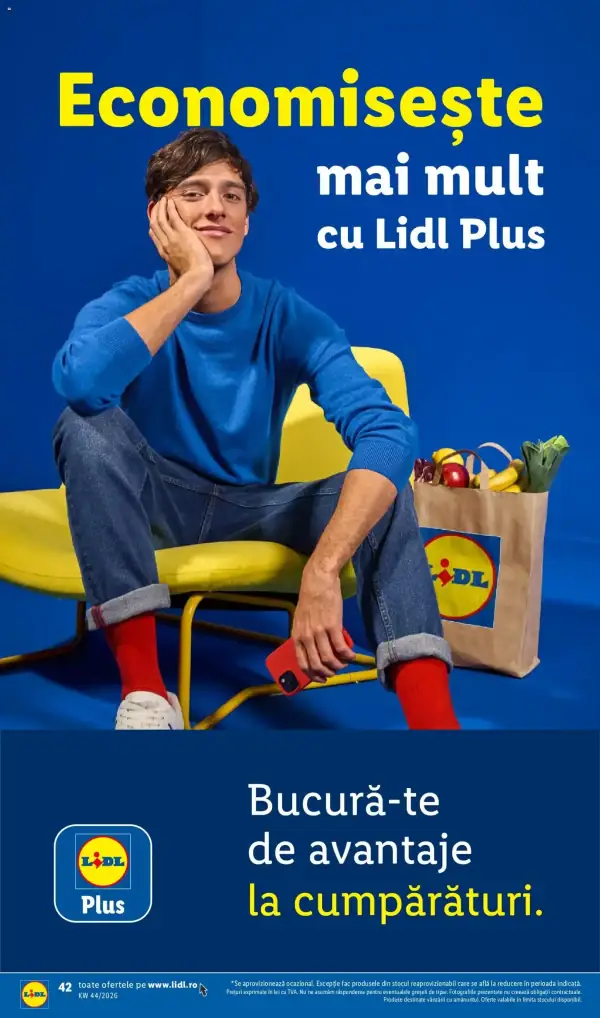 Pagina 42