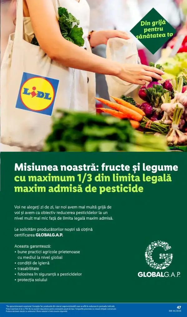 Pagina 47