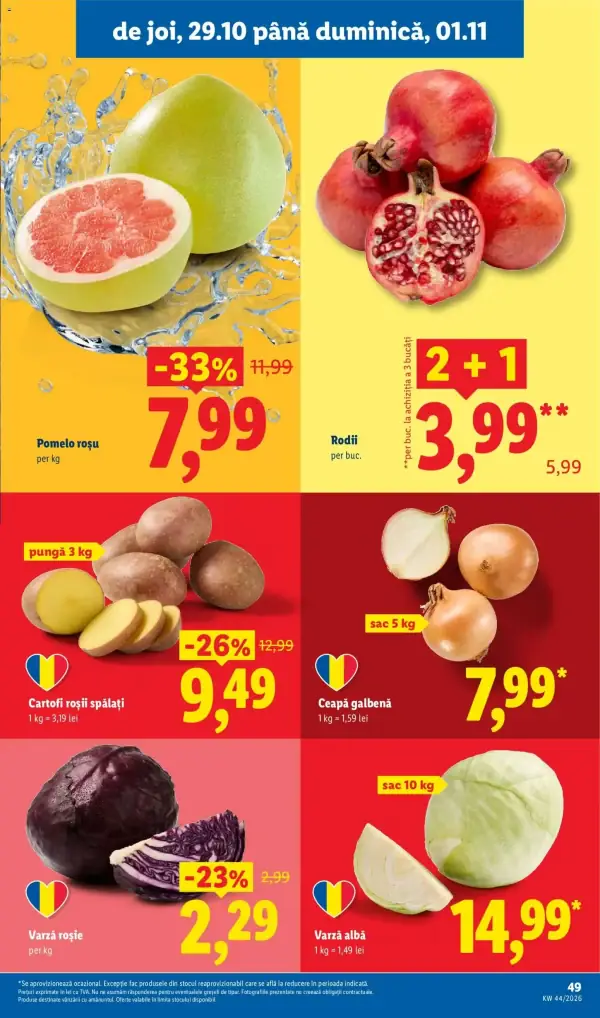 Pagina 49