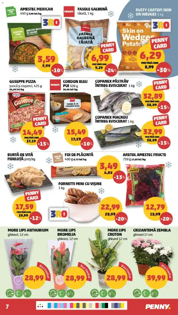 Pagina 7