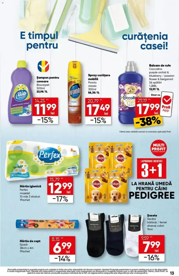 Pagina 13
