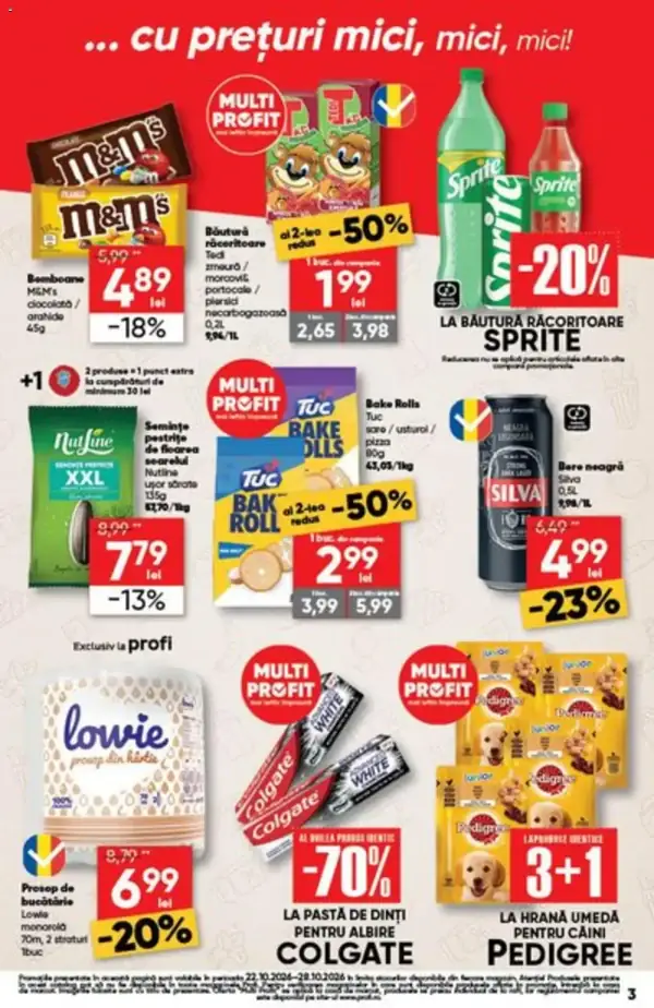 Pagina 3